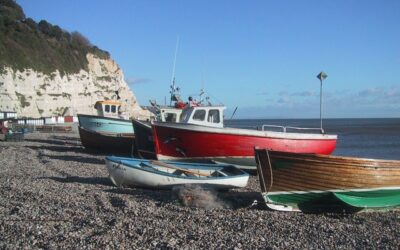 East Devon beaches named UK top spots!